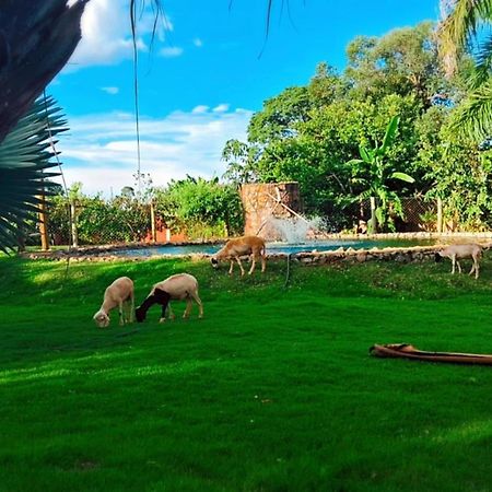 Pousada Cafe Da Roca Campos Gerais Ngoại thất bức ảnh