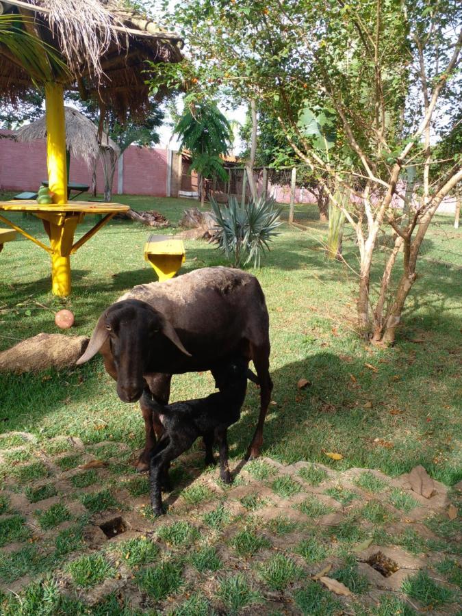 Pousada Cafe Da Roca Campos Gerais Ngoại thất bức ảnh