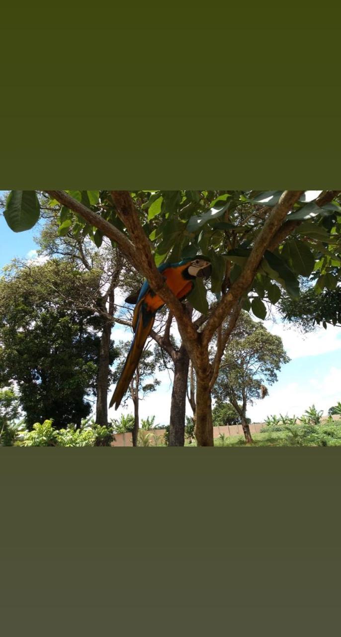 Pousada Cafe Da Roca Campos Gerais Ngoại thất bức ảnh