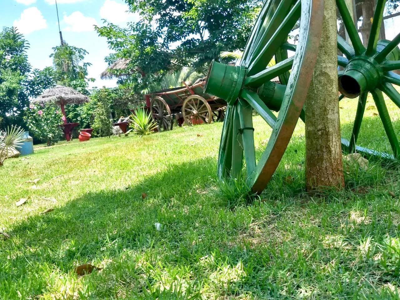Pousada Cafe Da Roca Campos Gerais Ngoại thất bức ảnh