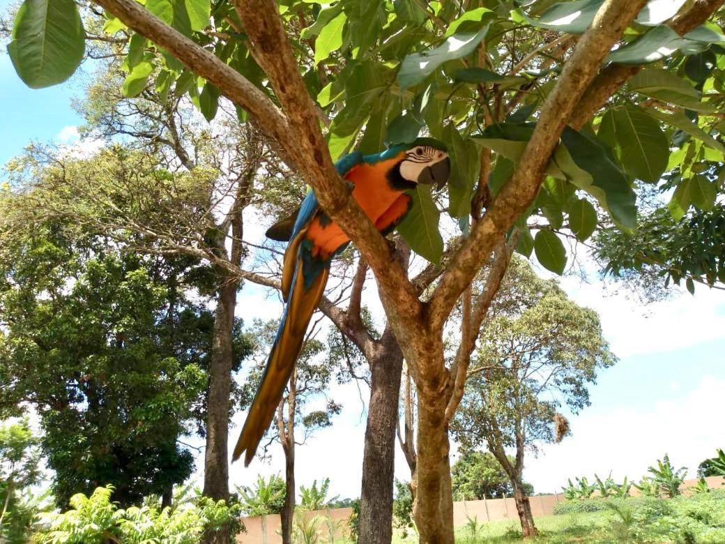 Pousada Cafe Da Roca Campos Gerais Ngoại thất bức ảnh