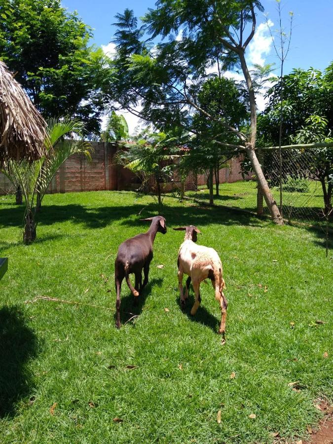 Pousada Cafe Da Roca Campos Gerais Ngoại thất bức ảnh